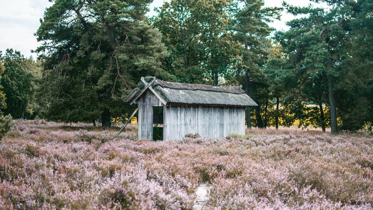 Verlassener Schafstall in der Lüneburger Heide