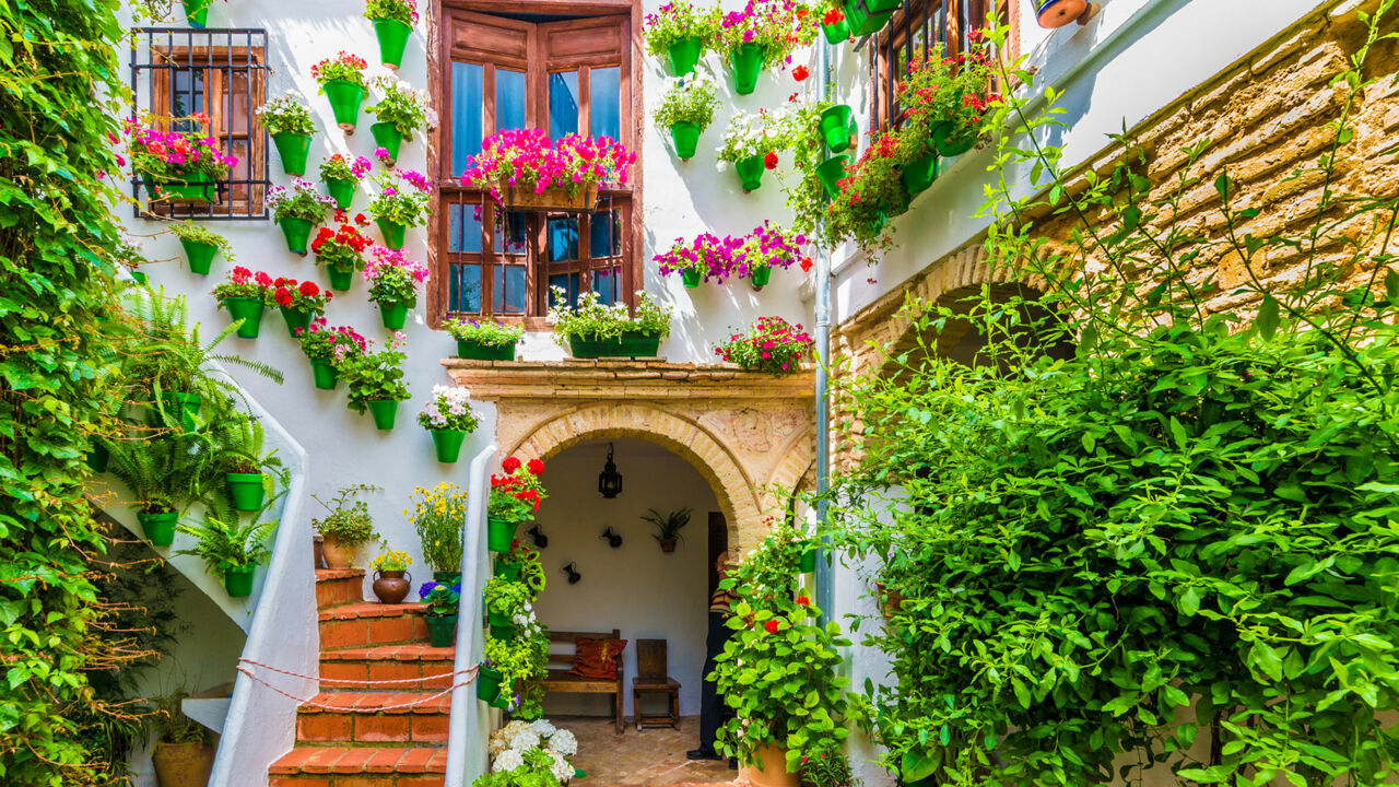 Patio in Córdoba, Blumentöpfe und Pflanzen