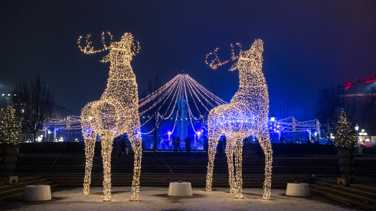 beleuchtete Elchfiguren in Stockholm zur Weihnachtszeit