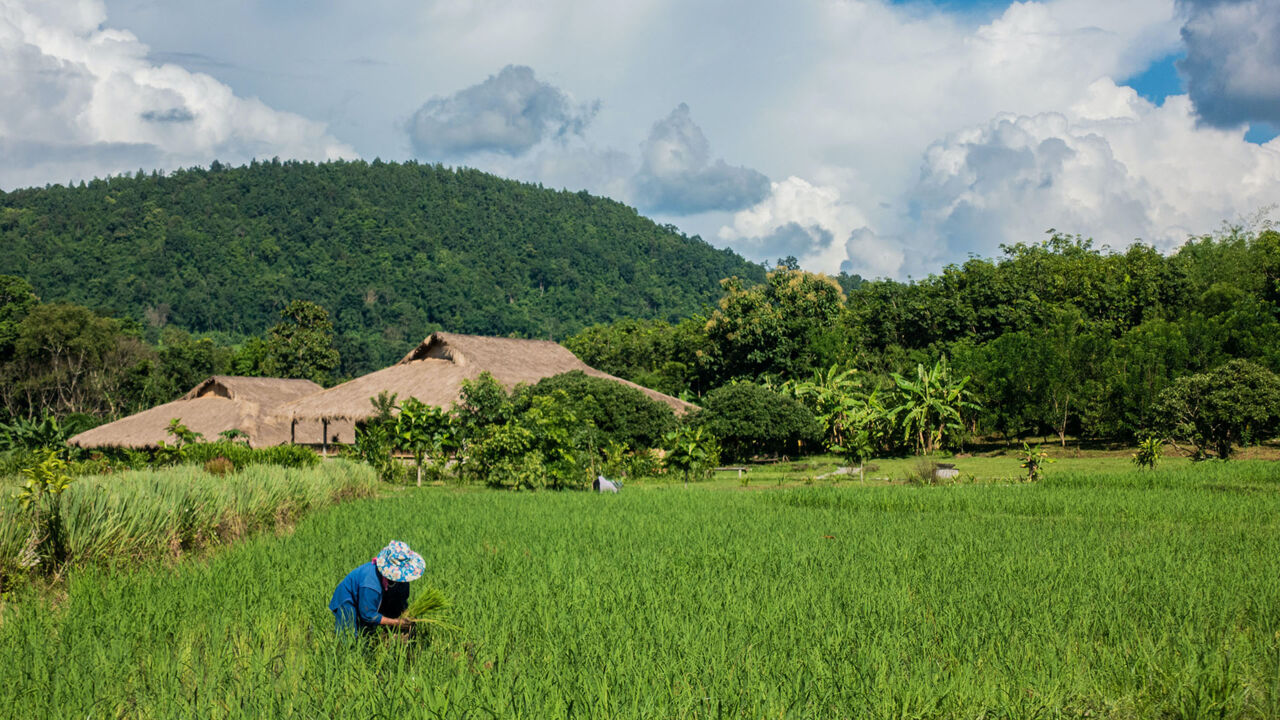 Thailand, Zugehörige des Volkes der Lisu bei der Landwirtschaft