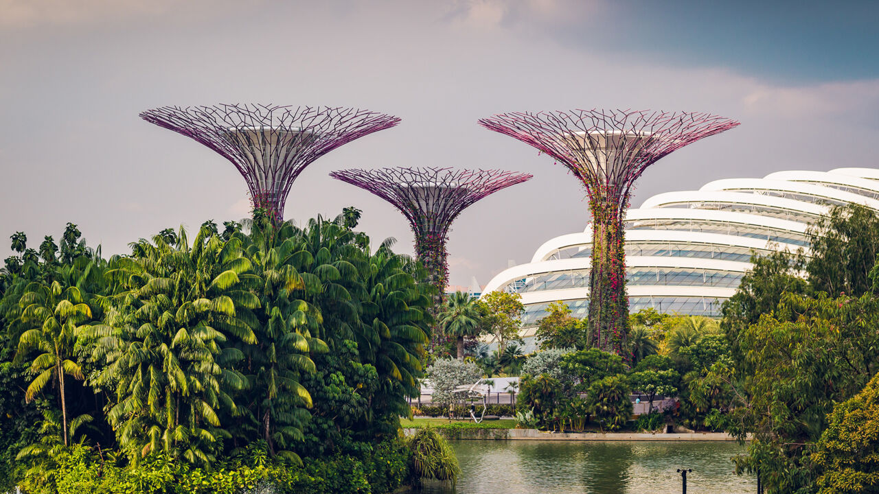 Gardens by the Bay, Singapur