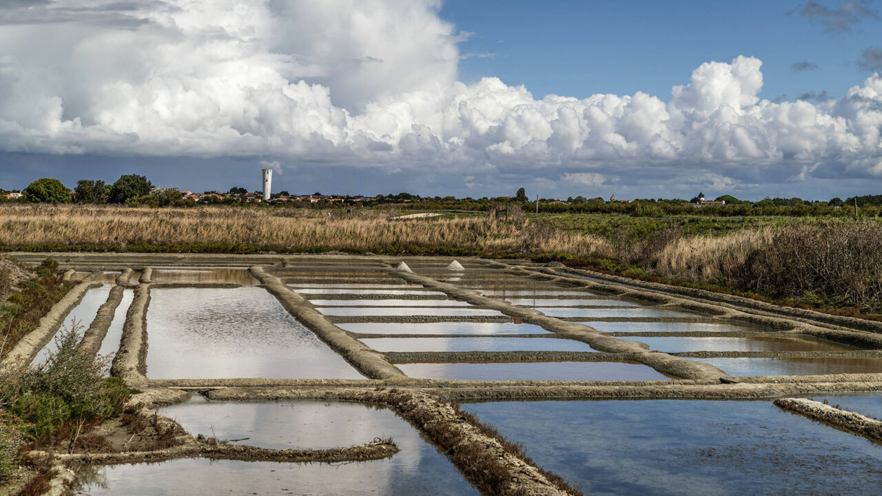 Salzpfannen im Ecomusée du Marais Salant