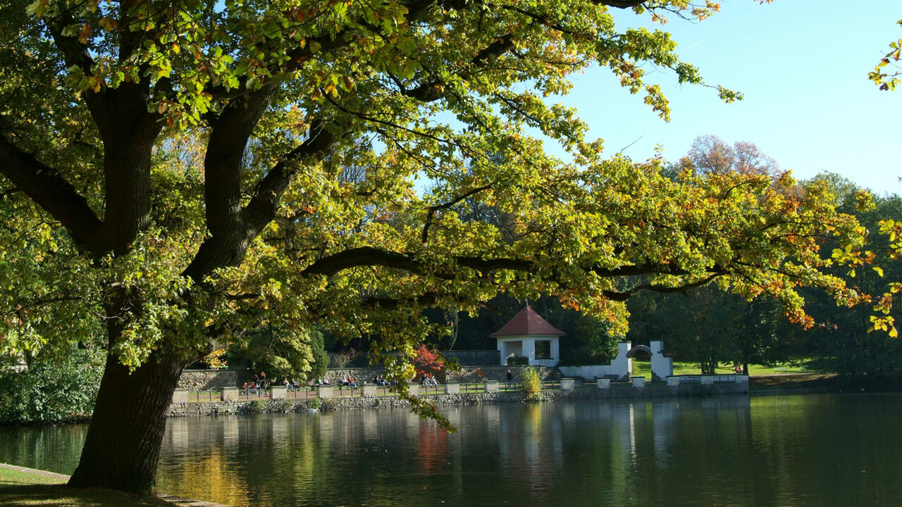 Hangeweiher, Park in Aachen