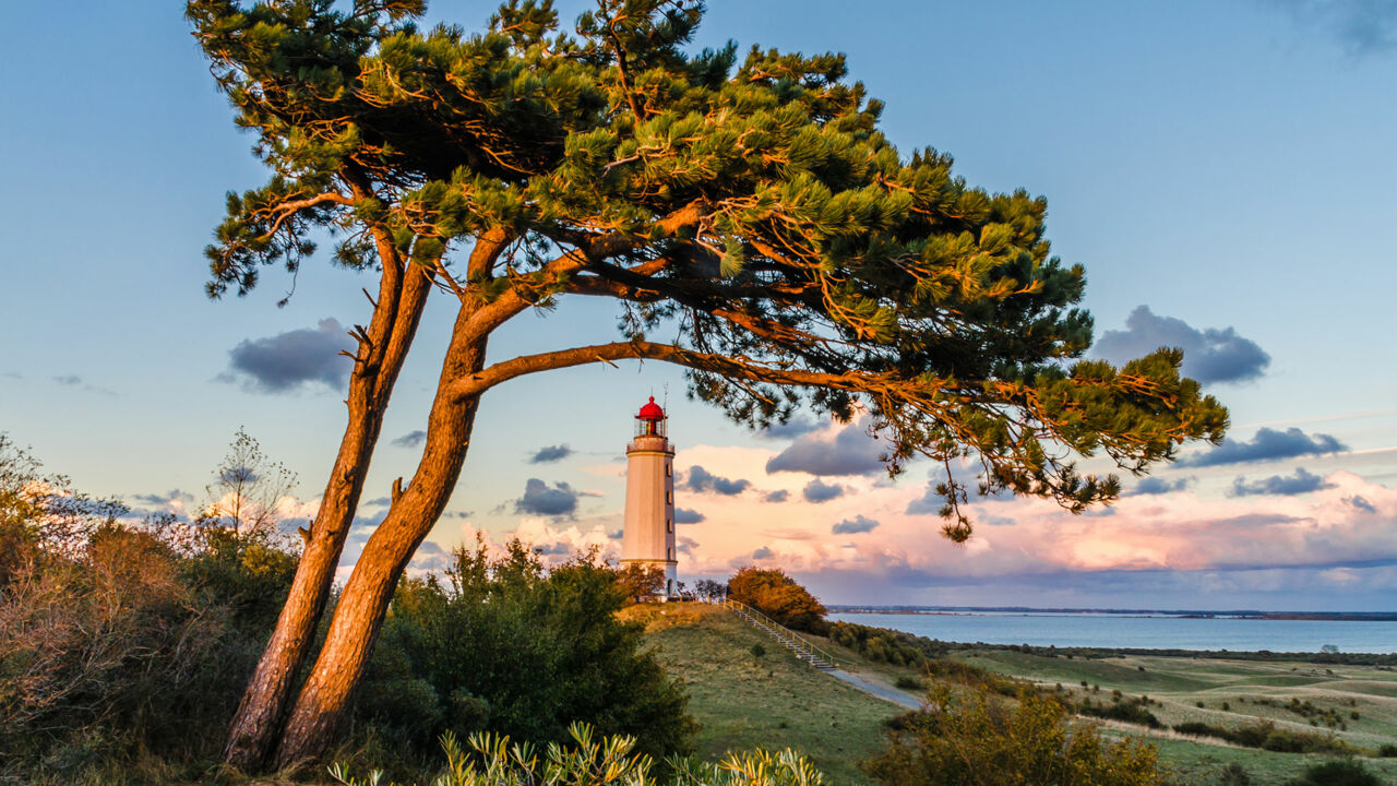 Leuchtturm Dornbusch auf Hiddensee