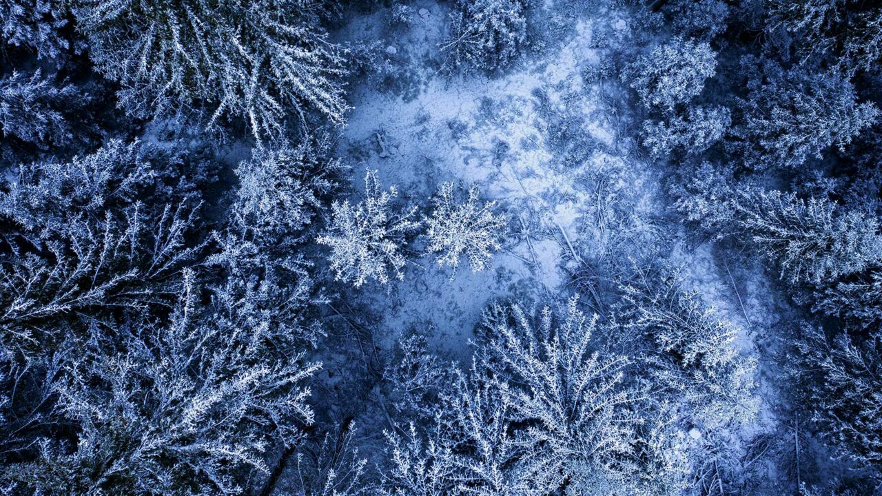 Winter im Harz, Blick von oben auf Waldgebiet