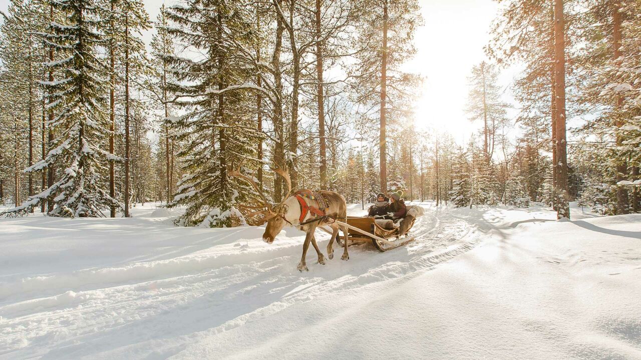 Ein Rentier zieht einen Schlitten durch die winterliche Landschaft.