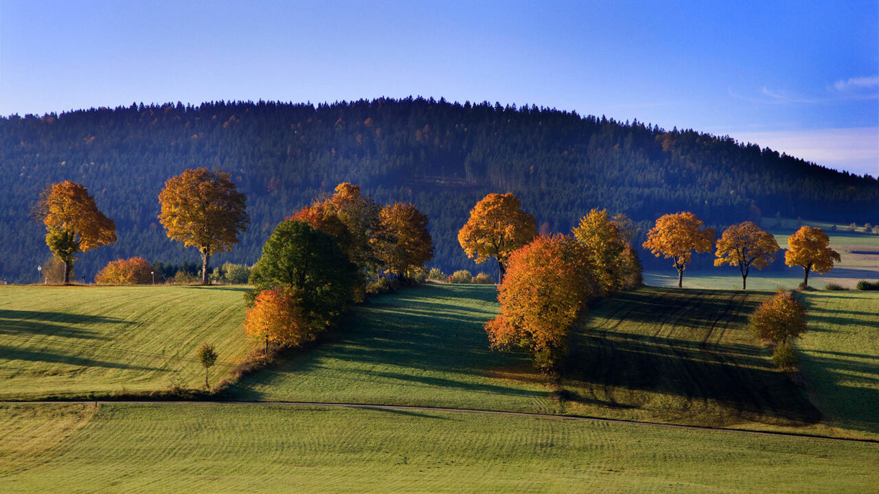 Nationalpark Bayerischer Wald bei Rosenau
