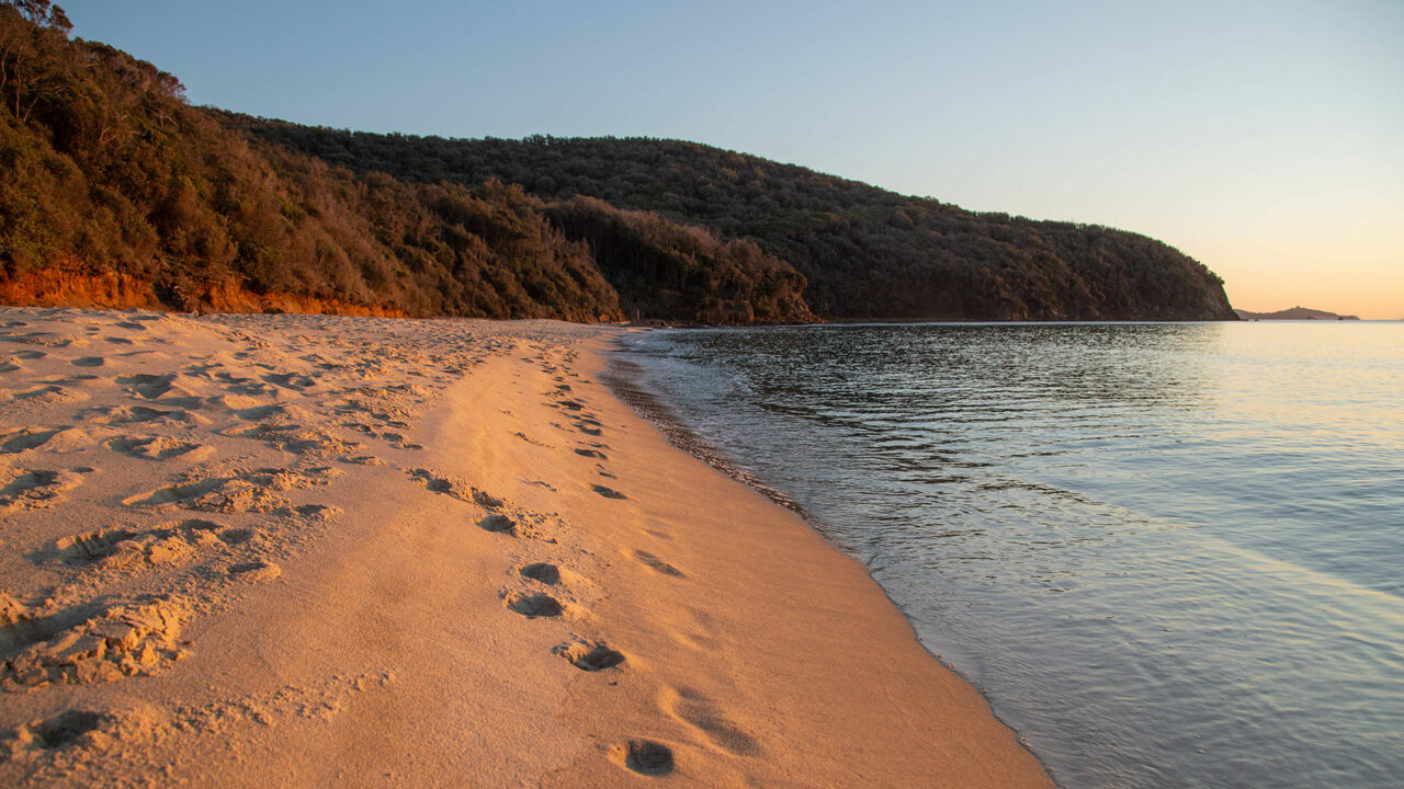 Cala Violina in der toskanischen Maremma, Strand und Bucht 