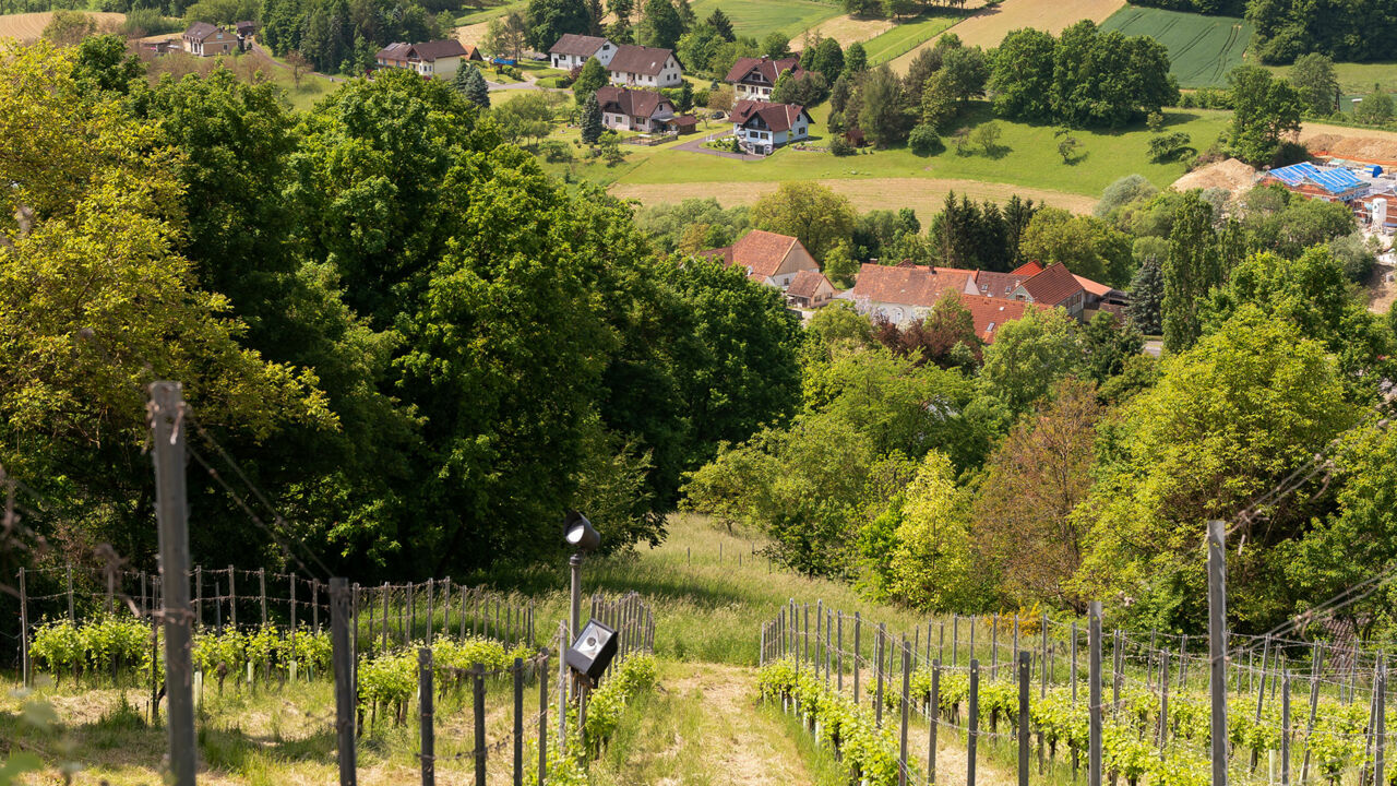 Themenweg im vulkanischen Gebiet der Steiermark