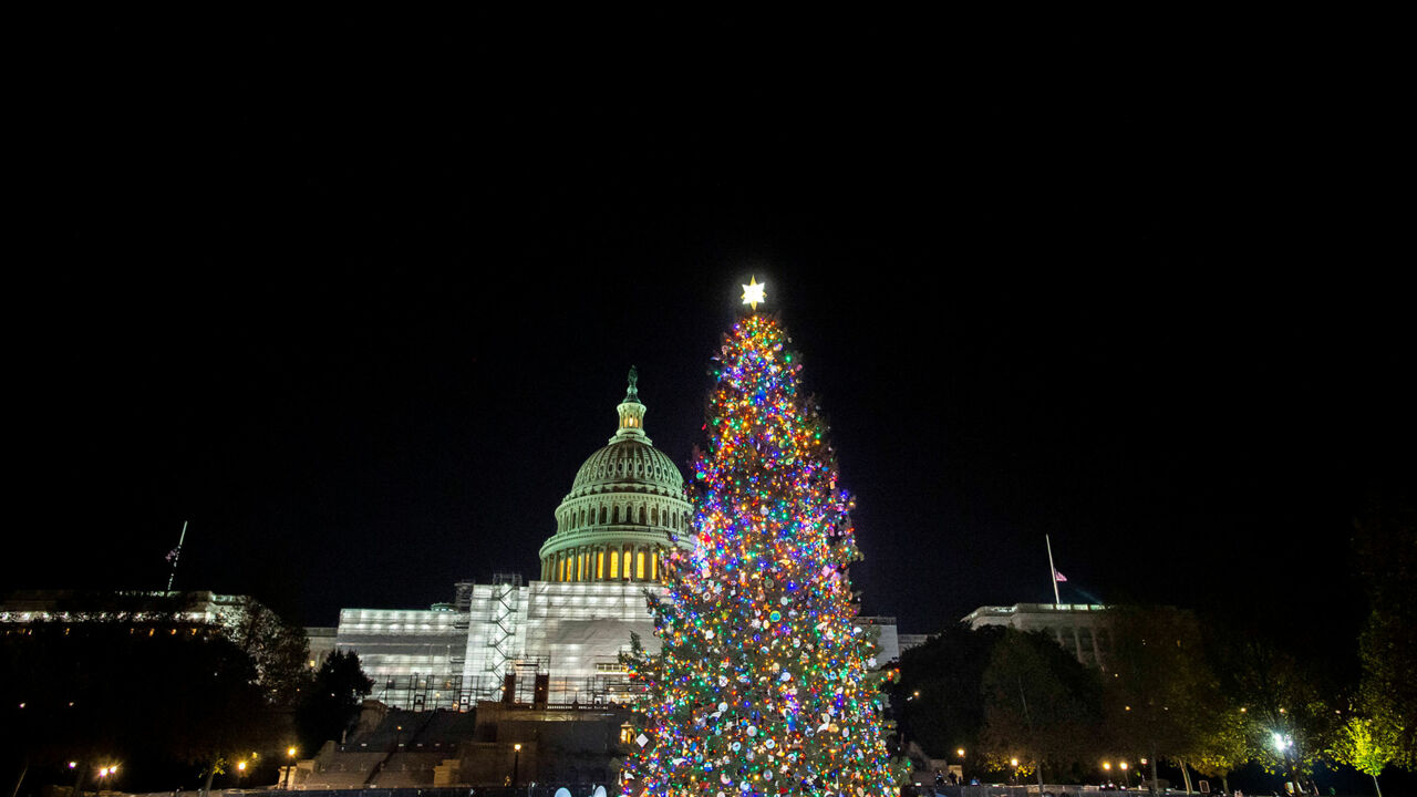 Weihnachtsbaum vorm Kapitol in Washington