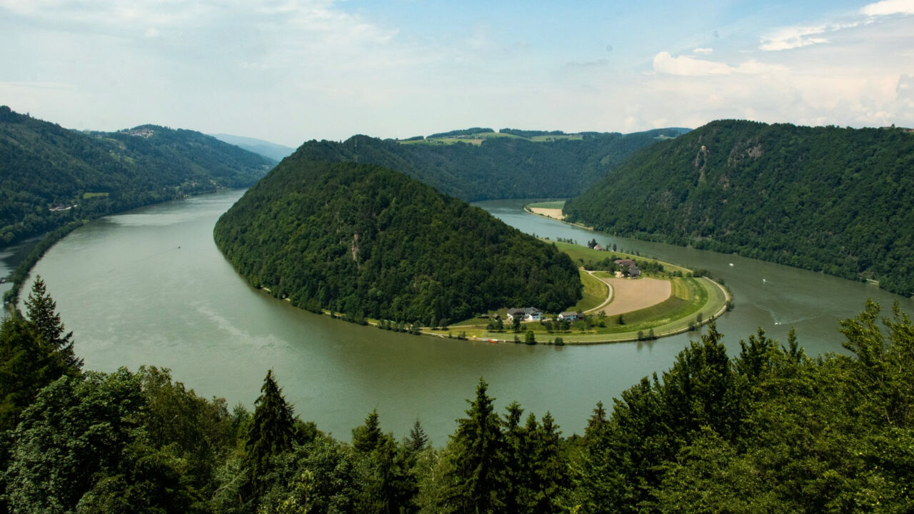 Grüne Natur entlang des Donauufers