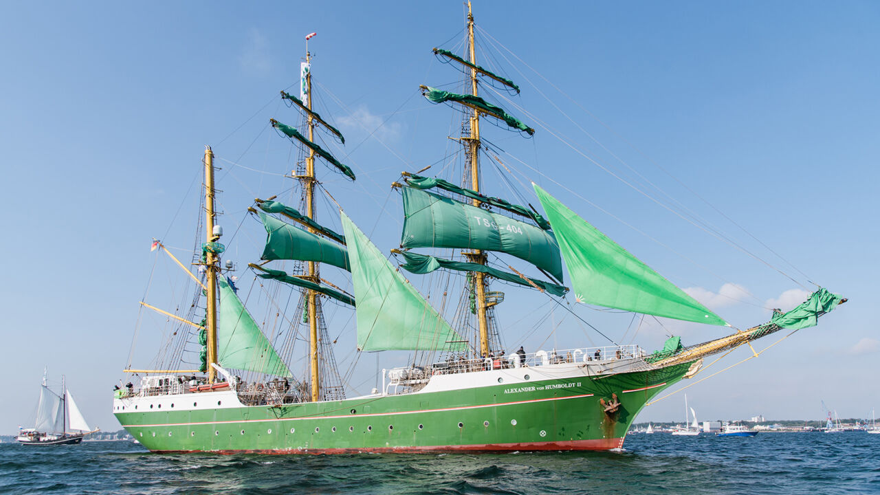 Das grüne Traditionsschiff Alexander von Humboldt II
