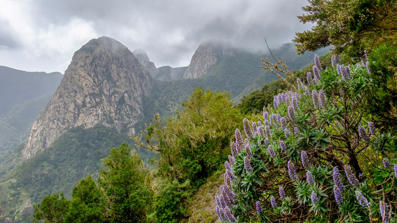 La Gomera, Parque Nacional de Garajonay