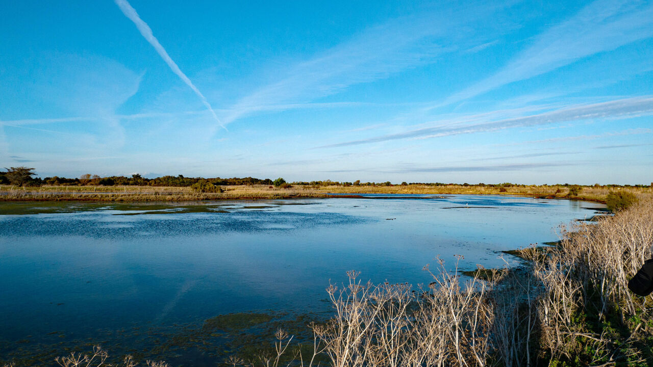 Naturschutzgebiet Lilleau des Niges auf der Île de Ré