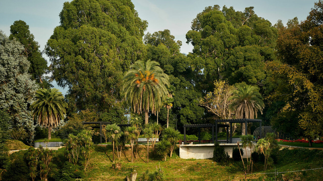 Große Artenvielfalt im Botanischen Garten von Batumi