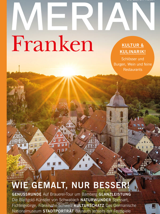 Franken-Cover