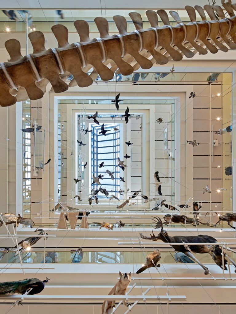 Atrium des MUSE, Trento