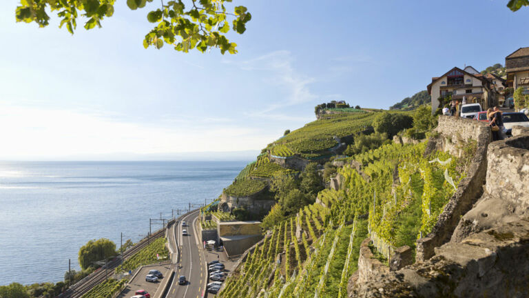 steilhaeng-lavaux-genfer-see