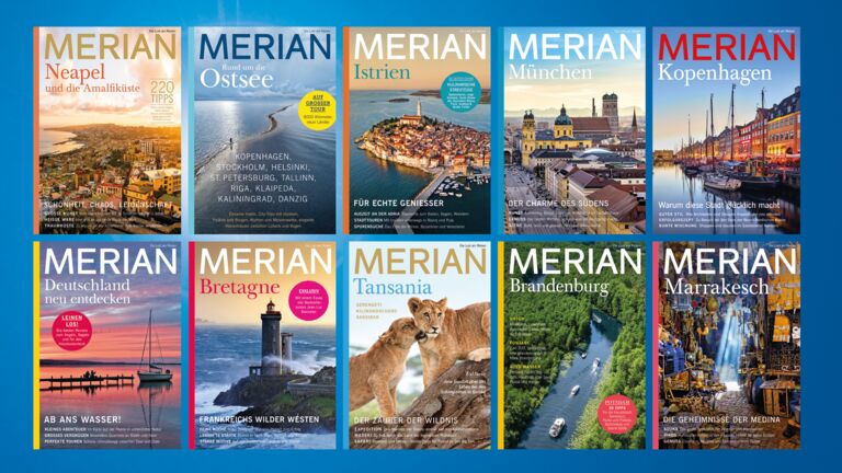 Merian Cover