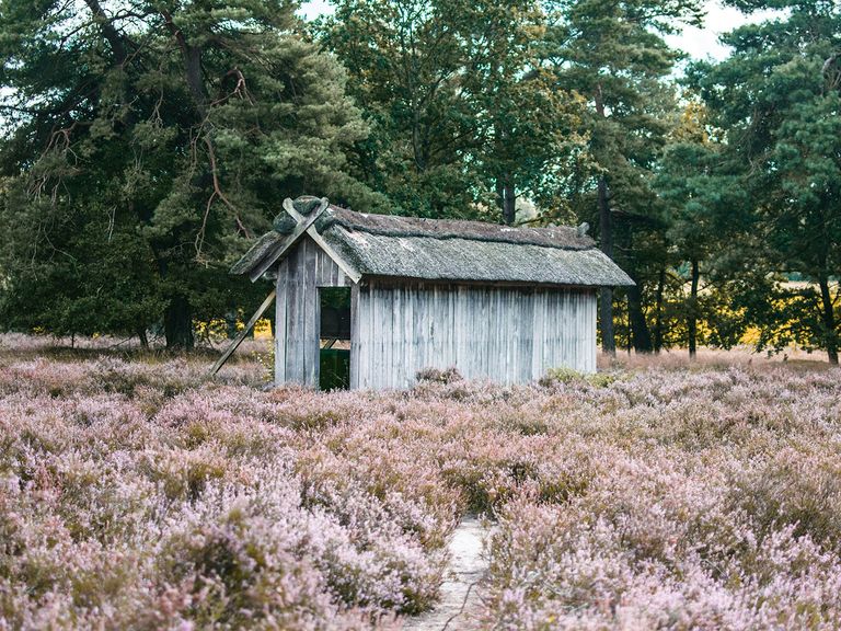 In der Lüneburger Heide warten zahlreiche besondere Campingplätze. kleiner Stall in der Lüneburger Heide