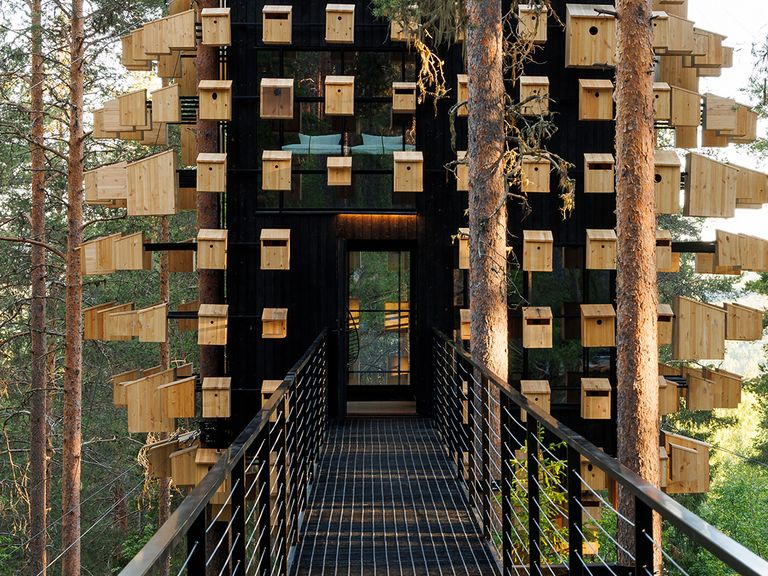 Biosphere, Treehotel in Schweden