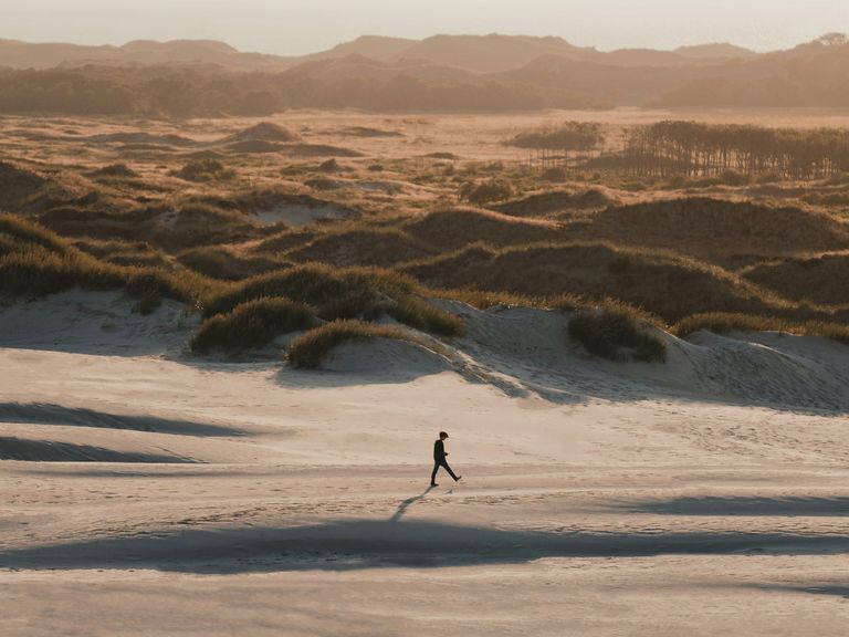 Mensch läuft am Strand entlang, Wanderdüne in Råbjerg