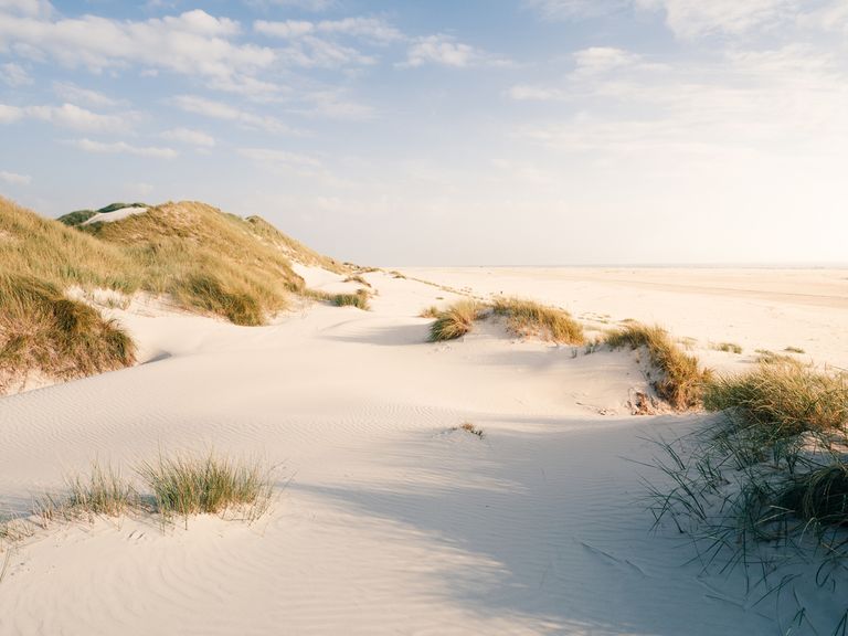 Strand von Amrum, Schleswig-Holstein