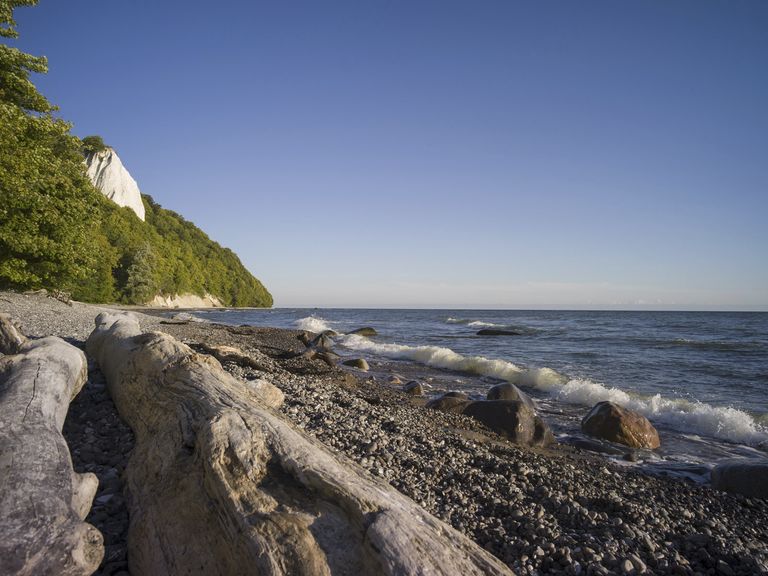 Küste der Kreidefelsen von Rügen Küste der Kreidefelsen von Rügen