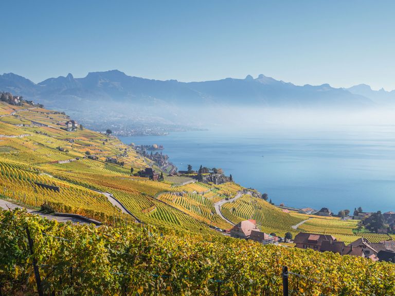 Blick auf den Genfersee, Lavaux-Region