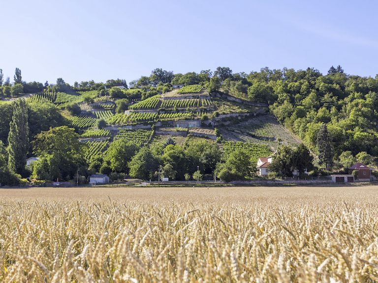 Quedlinburg Quedlinburg