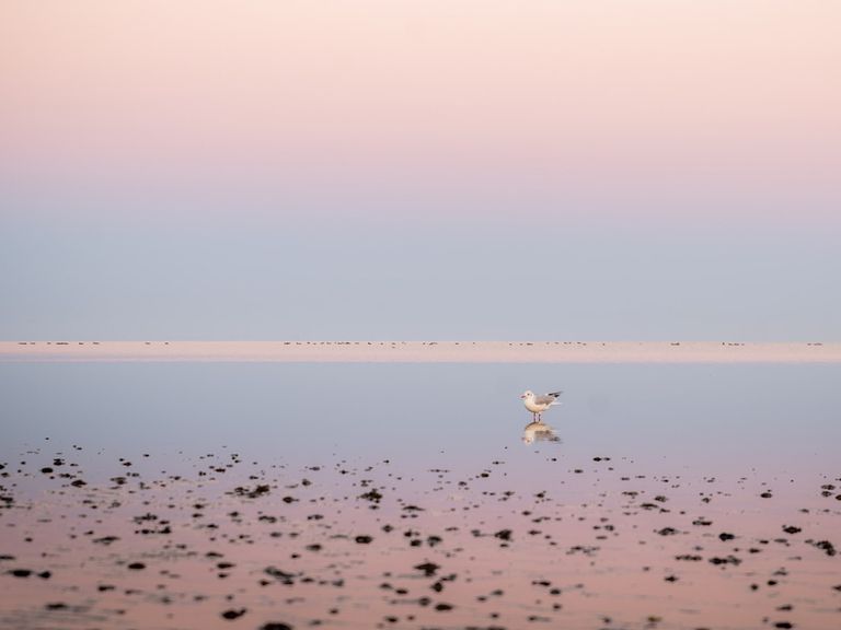 Wattenmeer Nordsee