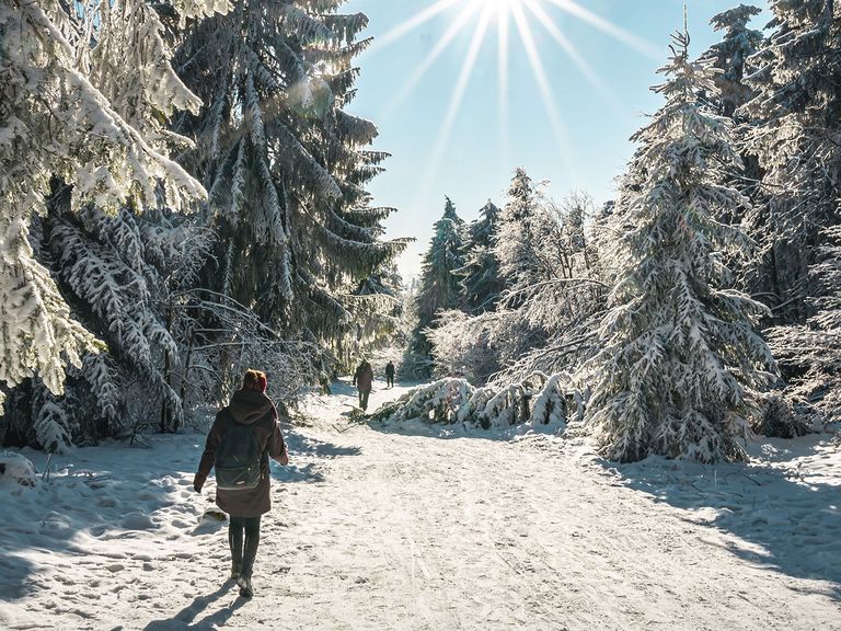 Waldbaden im Winter, Symbolfoto
