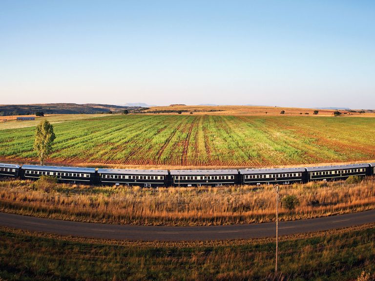 Der Pride of Africa gilt als der luxuriöseste Zug in ganz Afrika. Pride of Africa