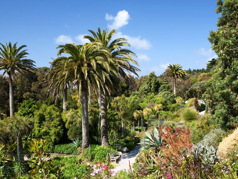 Tropischer Garten, Illes of Scilly in Cornwall