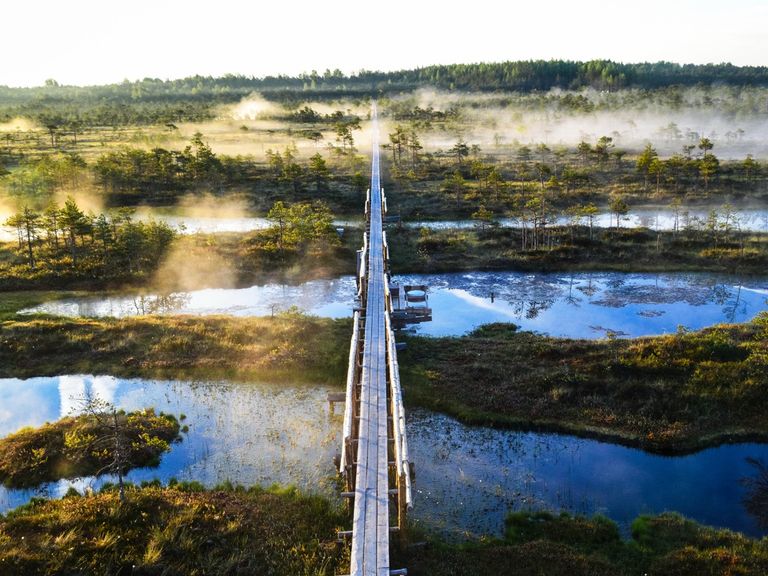 M&auml;nnikj&auml;rve Bog, Photo by Kaisa &Auml;&auml;rmaa