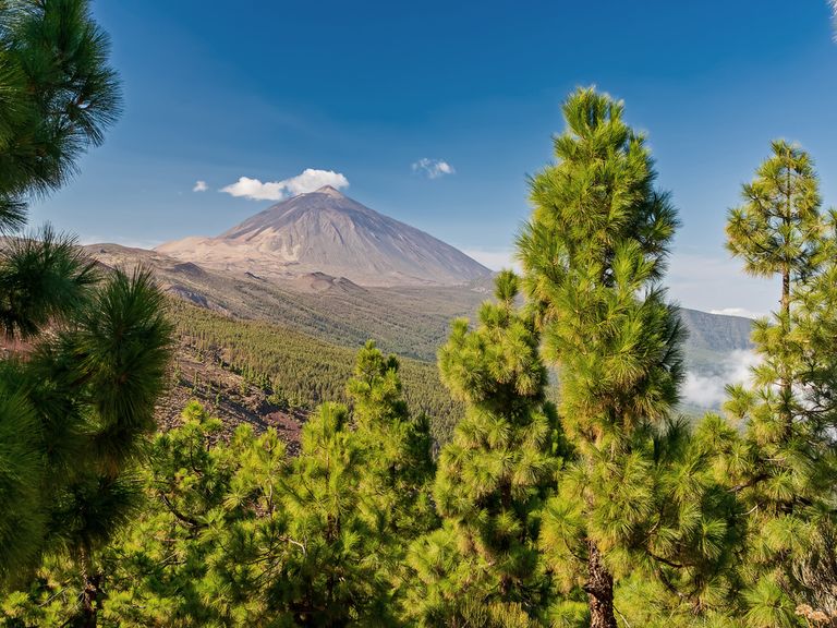 Teide Vulkan auf Teneriffa