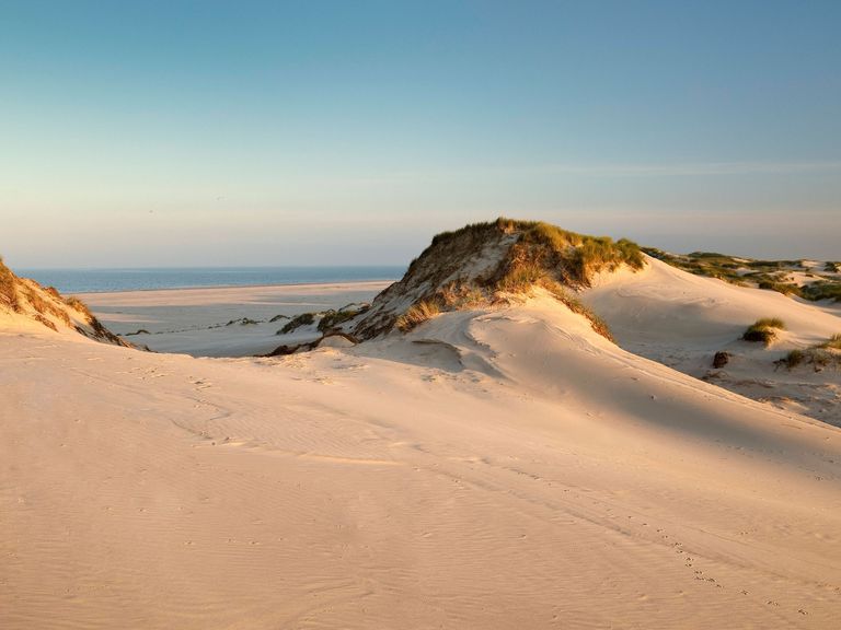 Sandd&uuml;nen vom Kniepsand auf Amrum