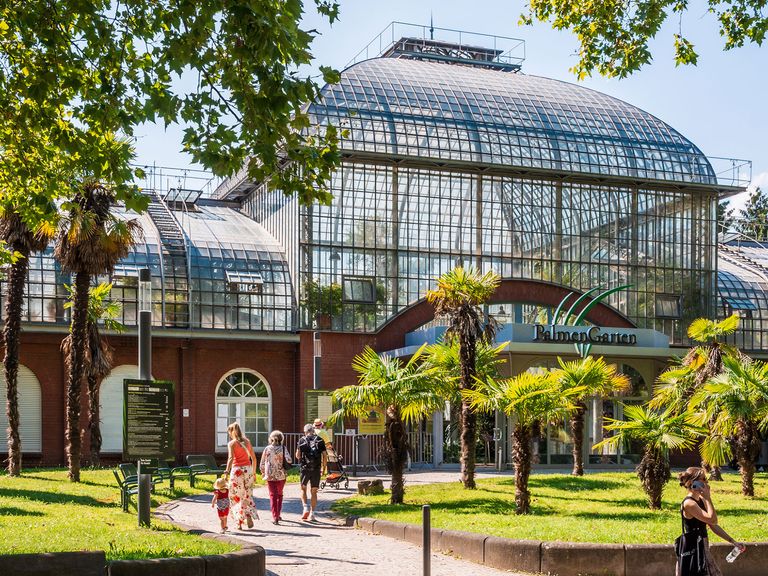 Einer der schönsten Orte in Frankfurt: der Palmengarten. Palmengarten in Frankfurt am Main im Sommer