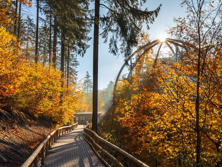 Baumwipfelpfad bei Bad Harzburg, Niedersachsen