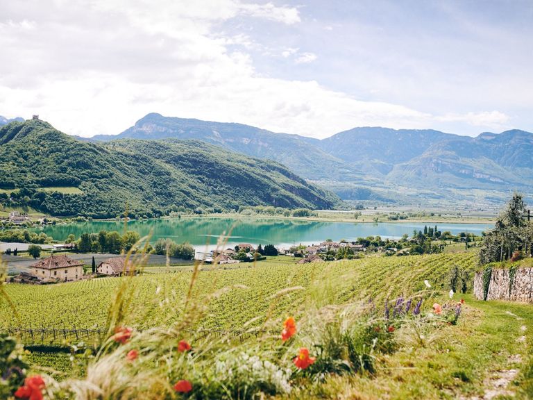 IDM Südtirol-Alto Adige_Manuel Ferrigato 
