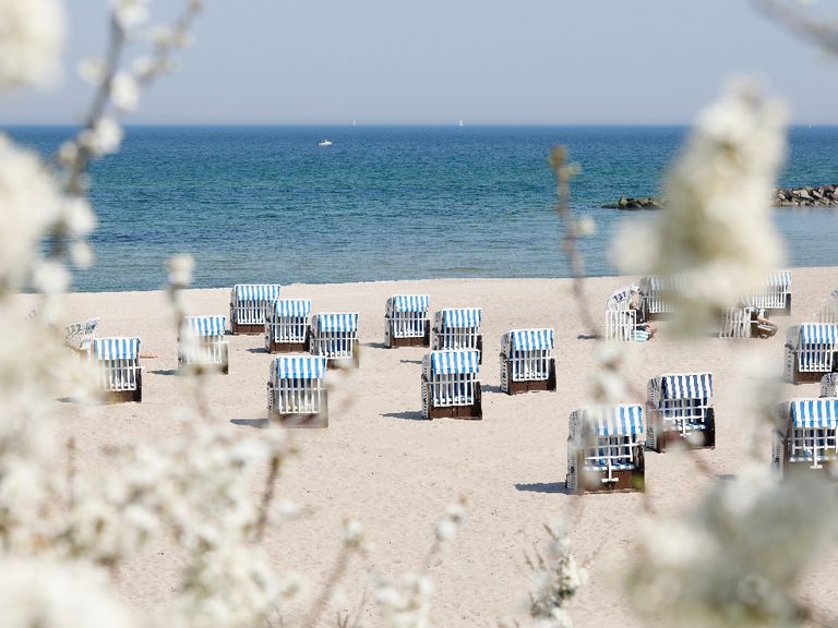 Der Ostsee-Strand von Kühlungsborn