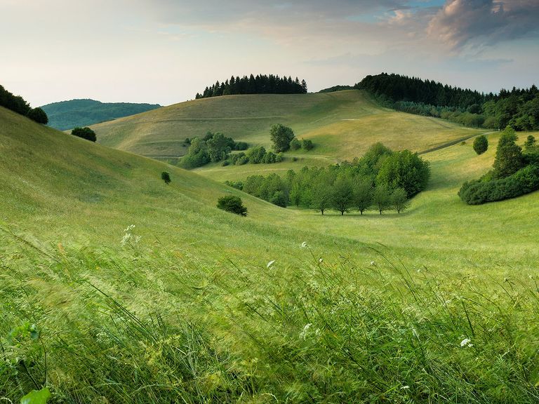Deutschland Natur 