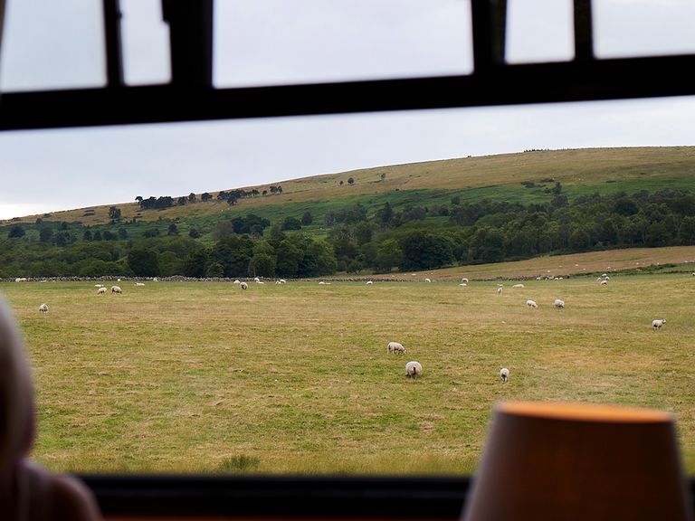 Blick aus dem Royal Scotsman Schottland, Blick aus dem Royal Scotsman