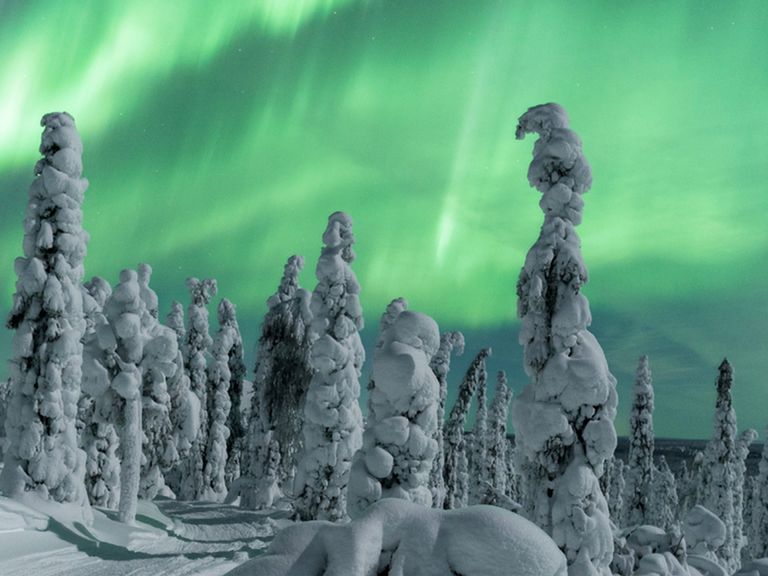 Lappland im Winter