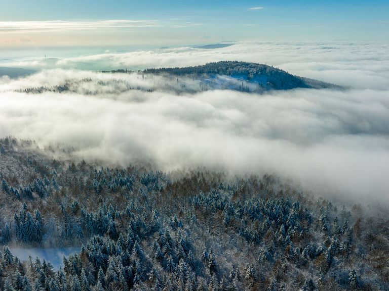 Winter in Hessen, Wald im Nebel