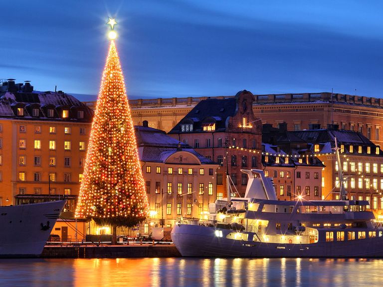 Stockholm zur Weihnachtszeit, Weihnachtsbaum am Wasser