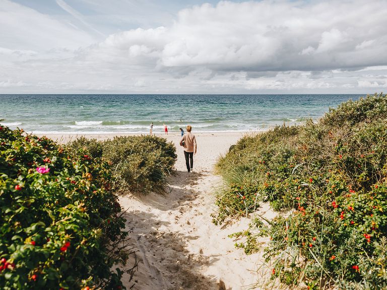 Hier zu sehen: der zauberhafte Tisvildeleje Strand in Dänemark. Mann geht zum Tisvildeleje Strand in Dänemark