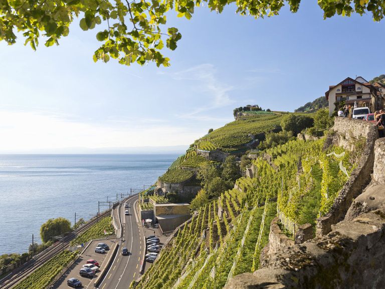 Steilhänge des Weinbaugebiets Lavaux am Genfersee