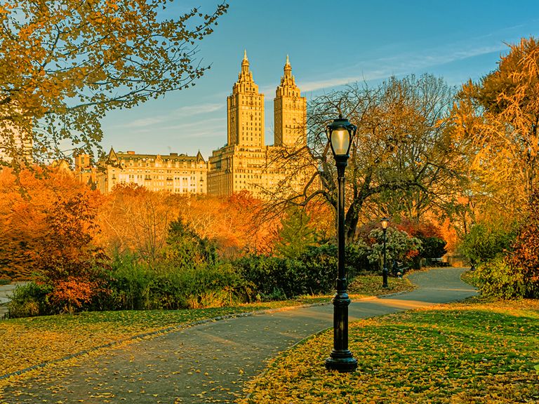 Central Park im Herbst, New York