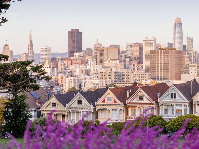 Eines der schönsten Fotomotive von San Francisco: die Painted Ladies. Painted Ladies in San Francisco